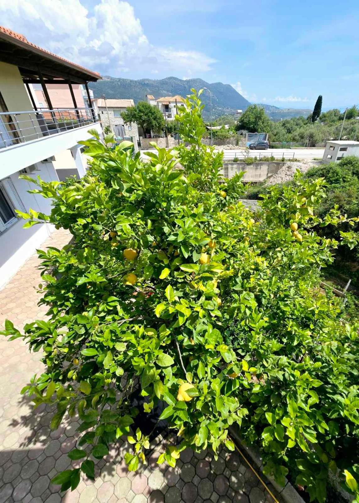 Philoxenia Guest House Himare Eksteriør bilde